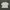 Japanese Brand Vintage Y2K T-shirt Pria Multicolor