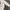 Polo Ralph Lauren Streetwear Casual Sweatshirt Kids white photo 3