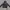 Polo Ralph Lauren Streetwear Casual Hoody Kids green navy photo 1