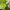 Minimalist Sweatshirt Wanita white green photo 3