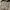 Burberry Luxury Casual Formal shirt Pria tan photo 4