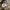 Burberry Luxury Casual Formal shirt Pria tan photo 5