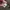 Beams Y2K Casual Casual shirt Pria green photo 4