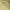 Longchamp Luxury Handbag Wanita cream photo 5