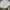 Longchamp Luxury Beach bag Wanita white photo 6