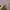 Longchamp Luxury Beach bag Wanita white photo 5