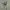 Vintage Y2K Casual shirt Pria white green photo 5