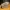 Nike Streetwear Sportswear Sneakers Pria white black photo 4