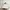 Adidas Sportswear Hat Pria White