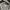 Uniqlo Minimalist Casual Formal shirt Pria silver photo 4