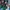 Adidas Streetwear Casual Casual shoe Pria green photo 3