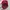 Nike Streetwear Sportswear Hat Pria burgundy red photo 6