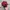 Nike Streetwear Sportswear Hat Pria burgundy red photo 2