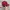 Nike Streetwear Sportswear Hat Pria burgundy red photo 4