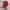Nike Streetwear Sportswear Hat Pria burgundy red photo 3