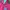 Adidas Casual Hoody Pria red pink photo 4