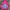 Adidas Casual Hoody Pria red pink photo 1