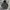 Adidas Casual Hoody Pria black photo 7