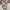 Levi's Casual Casual pants Pria cream photo 1