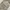 Levi's Casual Casual pants Pria cream photo 6