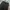 Spao Casual Casual pants Pria black photo 4