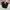 Spao Casual Casual pants Pria black photo 1