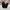 8seconds Casual Casual pants Pria black photo 1
