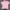 Polo Ralph Lauren Luxury Polo shirt Pria pink photo 2