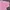 Polo Ralph Lauren Luxury Polo shirt Pria pink photo 5