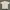Uniqlo Luxury Polo shirt Pria tan photo 6