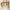 Michael Kors Luxury Minimalist Handbag Wanita Tan Brown