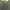 Casual Midi dress Wanita green photo 2