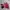 Beverly Hills Polo Club Streetwear Casual Harrington jacket Pria red brown photo 1