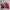 Beverly Hills Polo Club Streetwear Casual Harrington Jacket Pria Red Brown