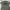 Superdry Streetwear T-shirt Pria Gray