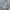 Vivienne Westwood Luxury Grunge Hoody Pria gray photo 4