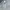 Vivienne Westwood Luxury Grunge Hoody Pria gray photo 3