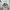 Nike Streetwear Y2K Sneakers Pria white black photo 4
