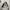 Nike Streetwear Y2K Sneakers Pria white black photo 2