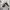 Nike Streetwear Y2K Sneakers Pria white black photo 2