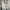 Vintage Trench Coat Wanita Tan