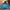 Adidas Sportswear Casual Windbreaker Pria multicolor photo 2