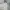 Japanese Brand Vintage Streetwear Jeans Pria White Cream