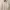 Covernat Casual Sweatshirt Pria Cream