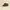 Converse Streetwear Casual Sneakers Pria brown photo 1