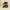 Converse Streetwear Casual Sneakers Pria brown photo 3