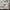 ZARA Streetwear Y2K Track jacket Pria white cream photo 4
