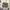 Yeezy Streetwear Sportswear Sneakers Pria gray cream photo 5