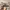 Yeezy Streetwear Sportswear Sneakers Pria gray cream photo 1