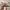 Yeezy Streetwear Sportswear Sneakers Pria Gray Cream